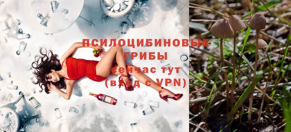 мет Горно-Алтайск