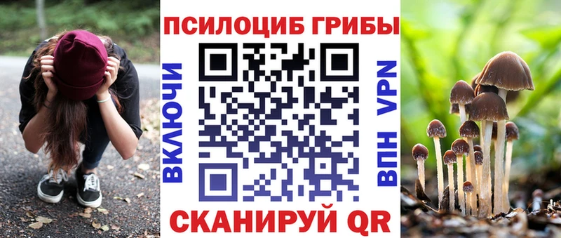 Псилоцибиновые грибы Magic Shrooms  Купить где  Новокубанск 